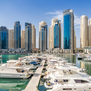 Off Shore Company (UAE ONLY)