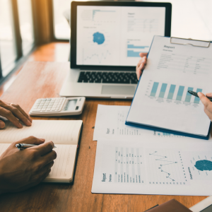Financial Audit