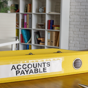 Account Payables and Sales Ledgers