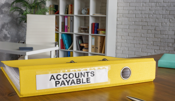 Account Payables and Sales Ledgers
